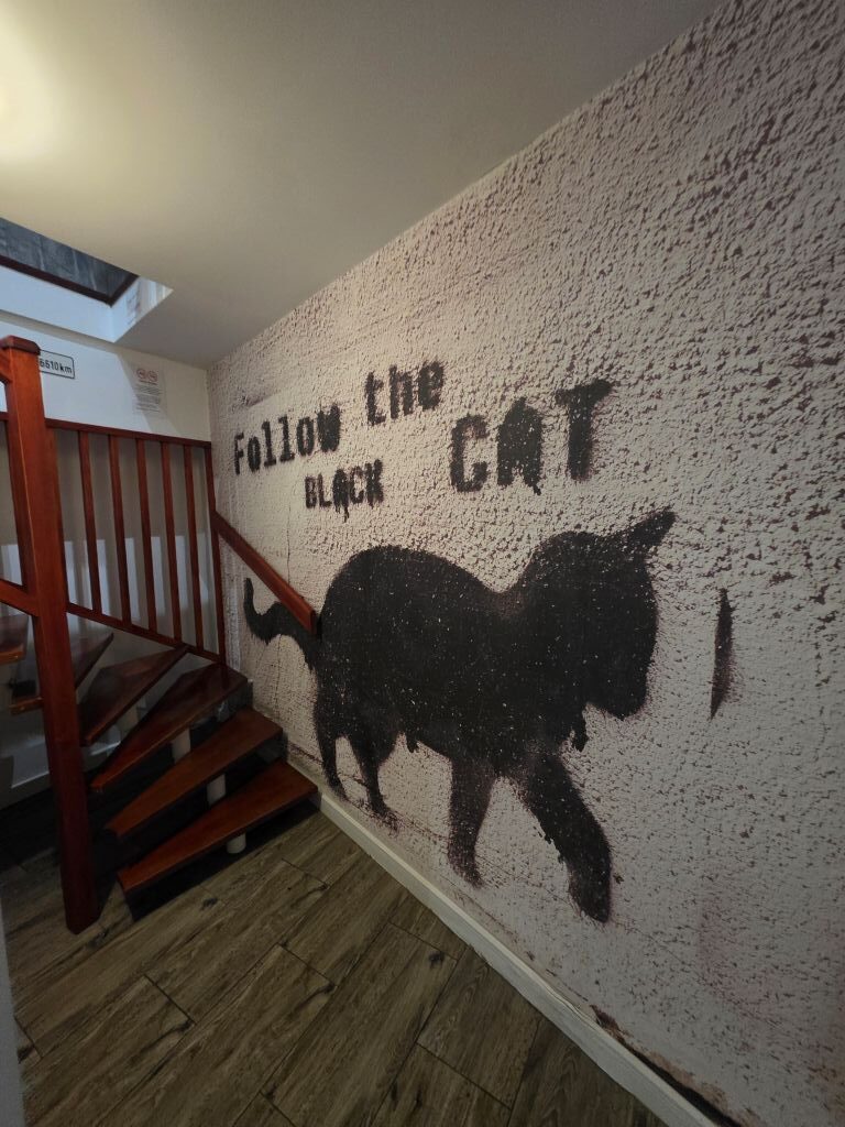 Kreative Wandgestaltung mit schwarzer Katze im World Hostel Old Town in Danzig.