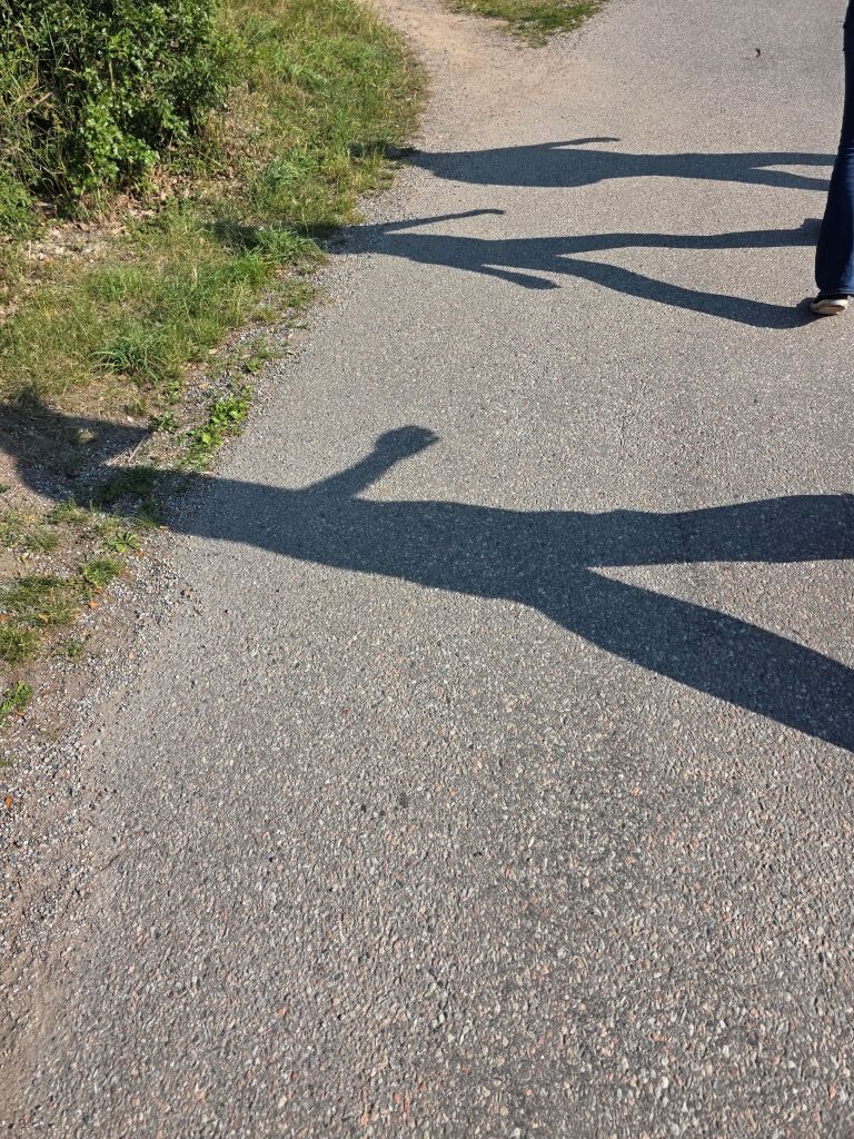 Lange Schatten unserer Familie auf einem Weg bei strahlendem Sonnenschein in Stockholm.