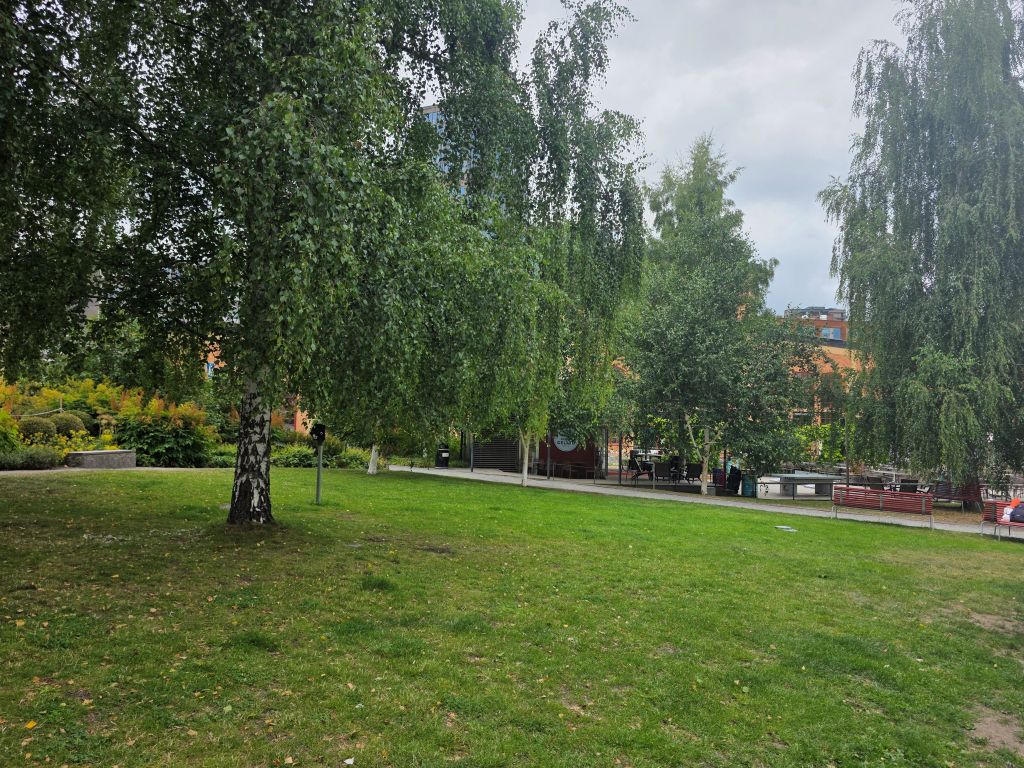 Grüne Parkanlage mit Birken in Stockholm an einem bewölkten Morgen