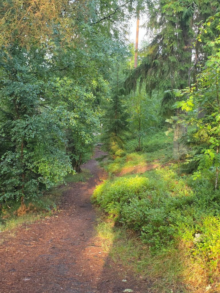 Schmaler Waldweg durch die grüne Natur rund um unsere Unterkunft bei Jönköping