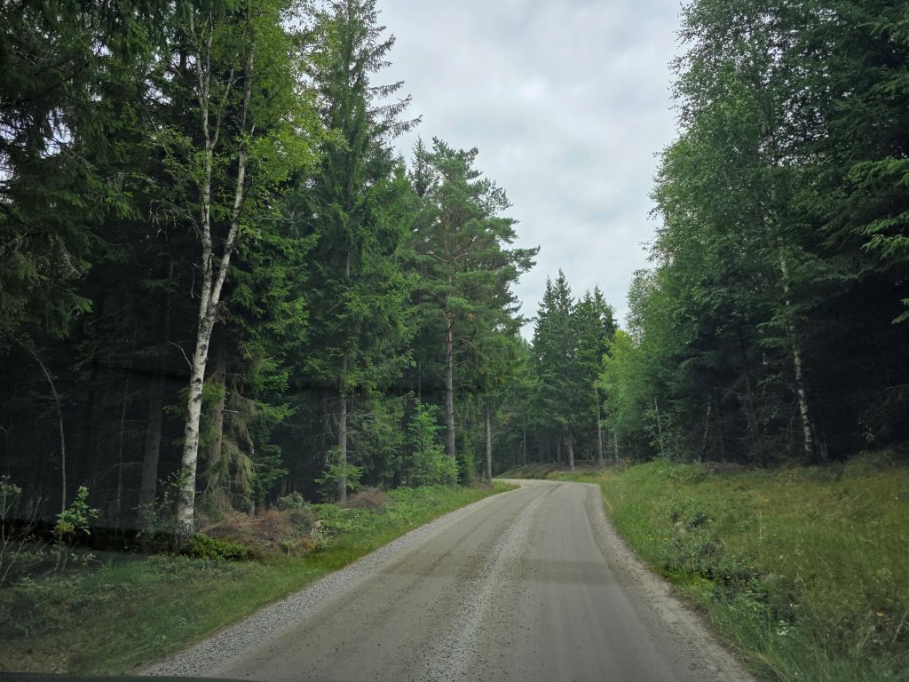 Fahrt über eine schmale Landstraße durch den schwedischen Wald