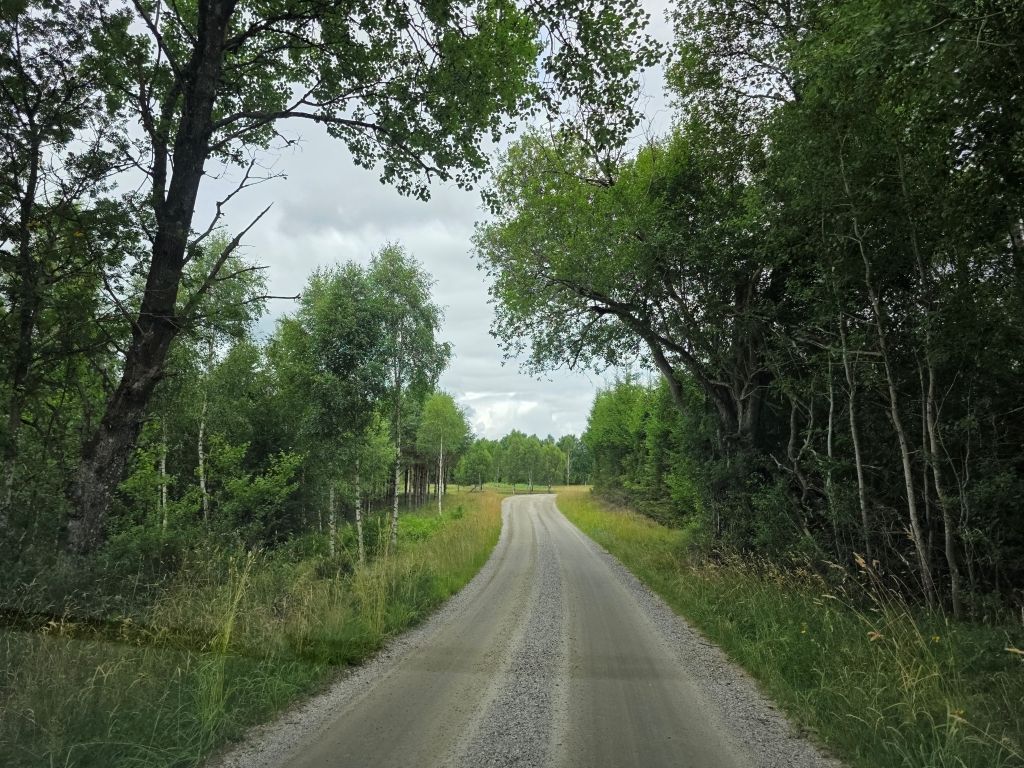 Schmale Landstraße durch die schwedische Natur bei Hamneda
