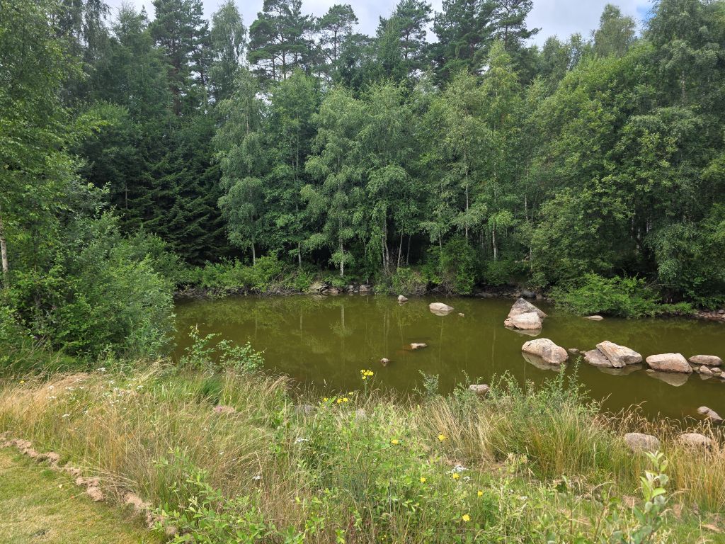 Kleiner Teich umgeben von dichtem schwedischem Wald im Elchpark