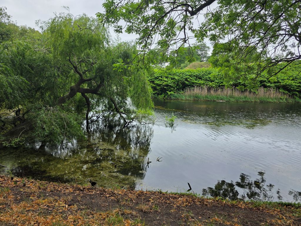 Grüne Wallanlage mit Wassergraben und alten Bäumen in Kopenhagen